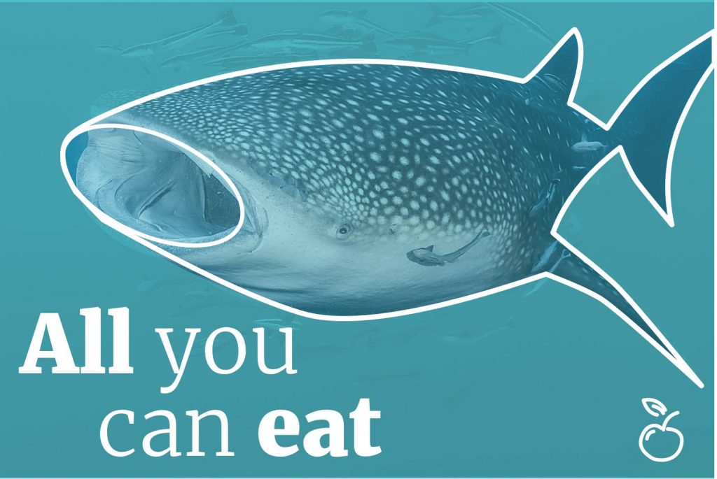 screeningcopy logistics - all you can eat